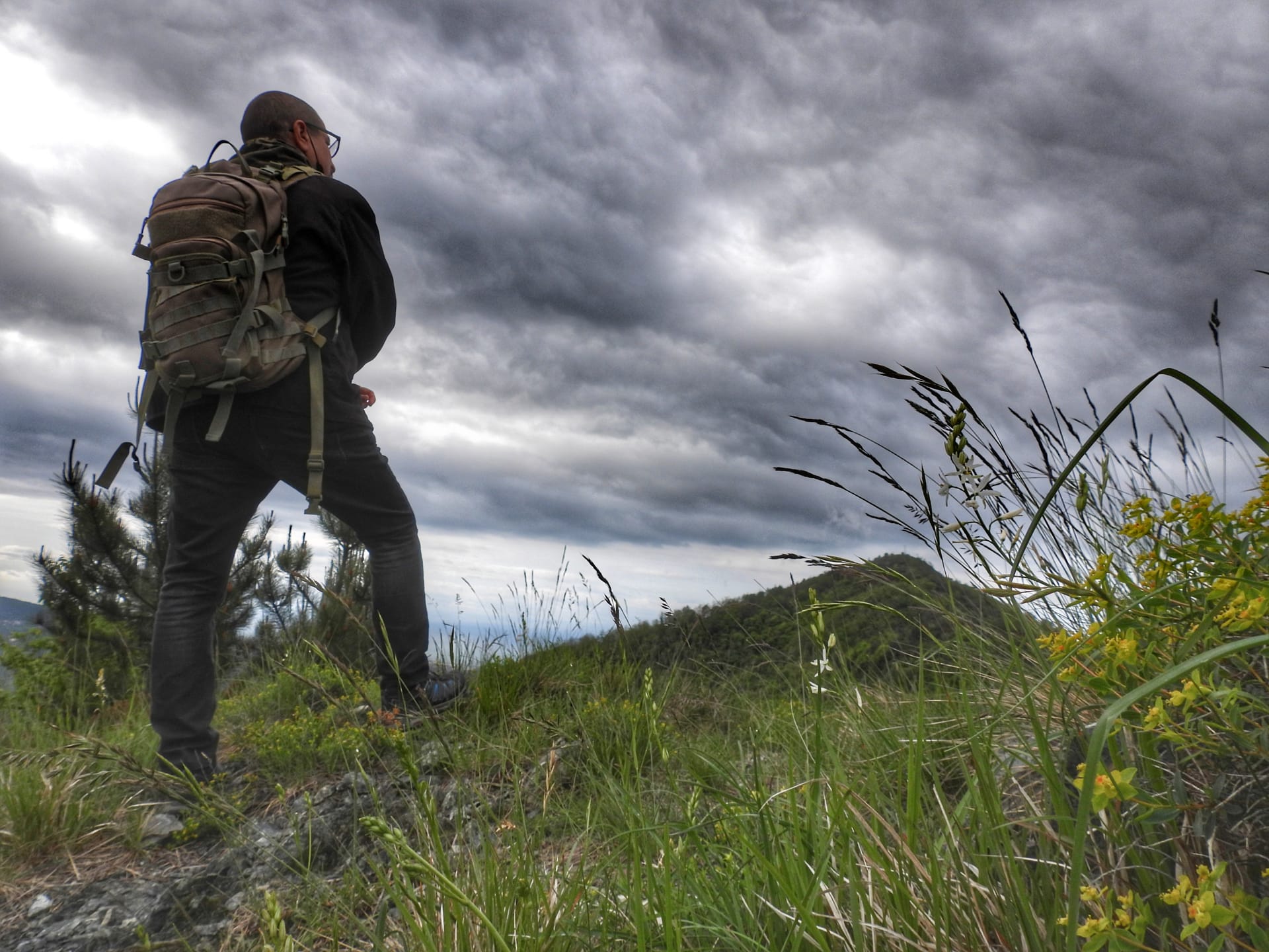 What is bushcraft and how do you start?